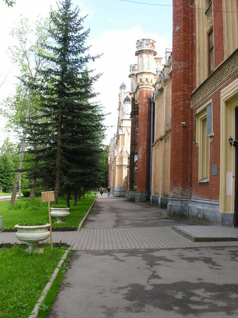 pict7961.sized.jpg