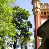 pict8077.sized.jpg