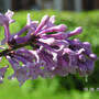pict8088.sized.jpg