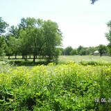 pict8096.sized.jpg