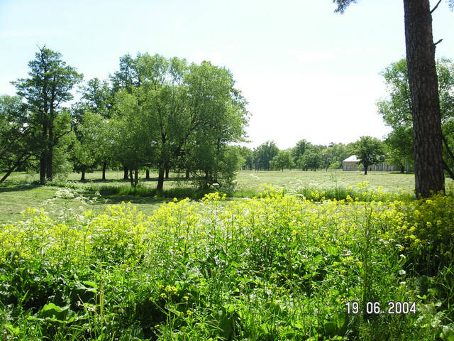 pict8096.sized.jpg