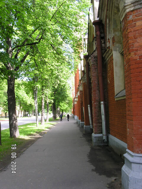 pict8113.sized.jpg