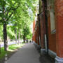 pict8113.sized.jpg
