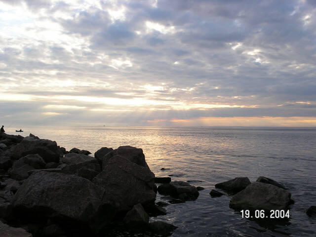 pict8121.sized.jpg