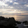 pict8123.sized.jpg