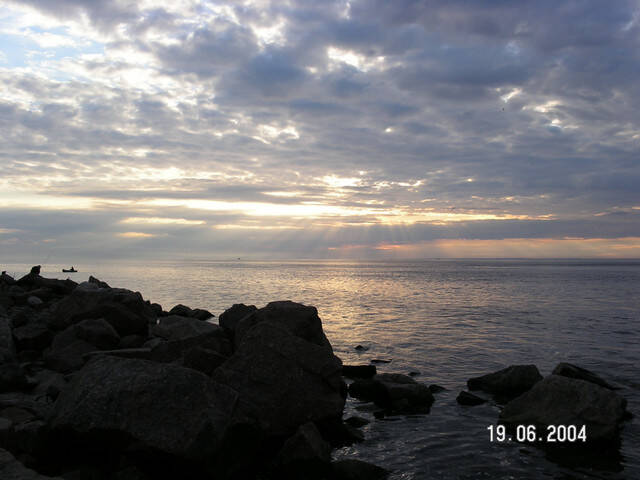 pict8124.sized.jpg