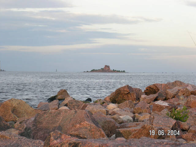 pict8136.sized.jpg
