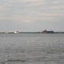 pict8137.sized.jpg