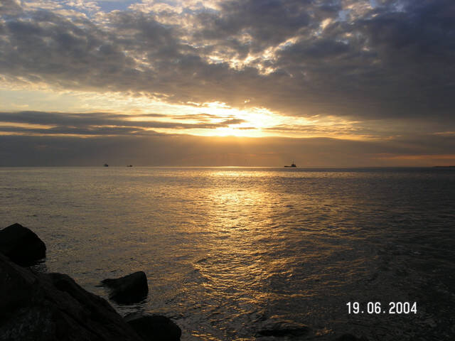 pict8138.sized.jpg