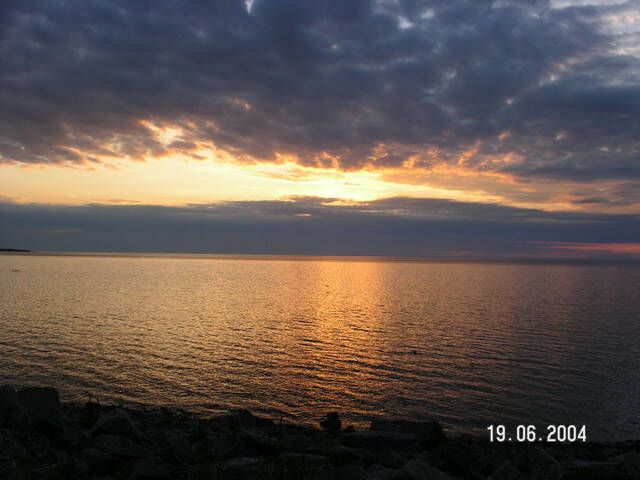pict8140.sized.jpg