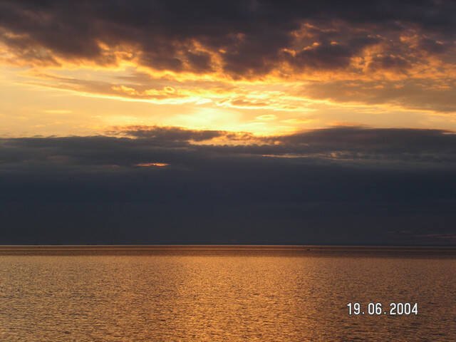 pict8141.sized.jpg