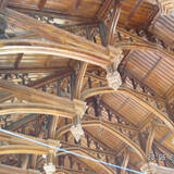 pict8193.sized.jpg