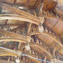 pict8193.sized.jpg
