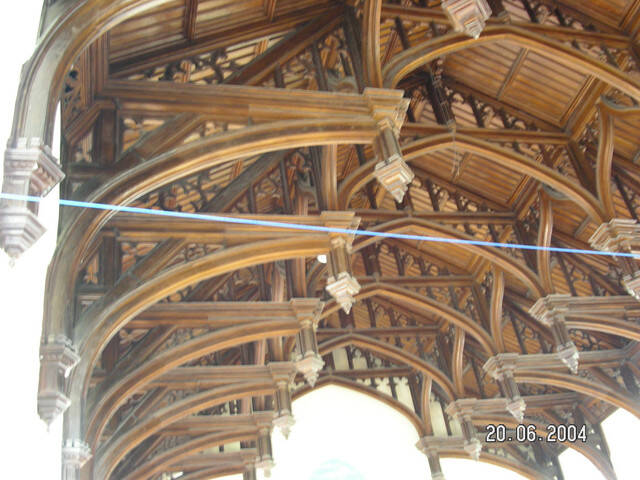 pict8194.sized.jpg