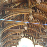 pict8195.sized.jpg
