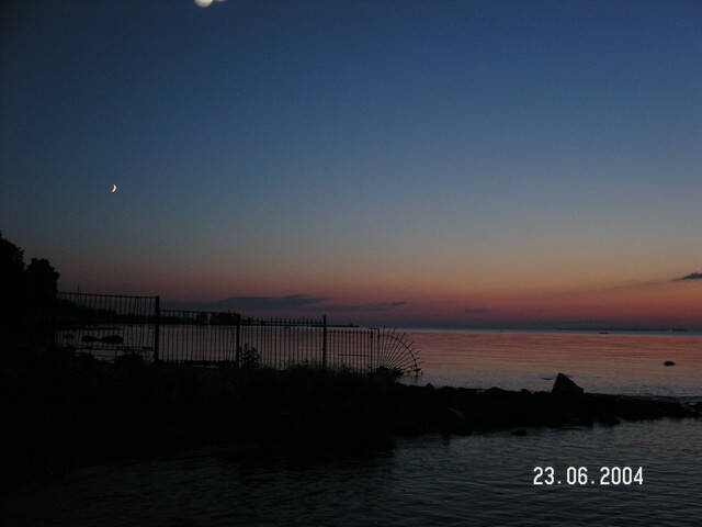 pict8283.sized.jpg