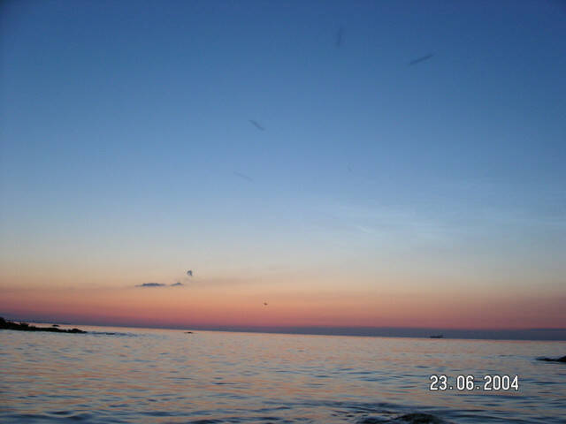 pict8287.sized.jpg