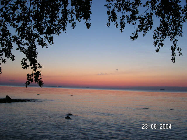 pict8288.sized.jpg