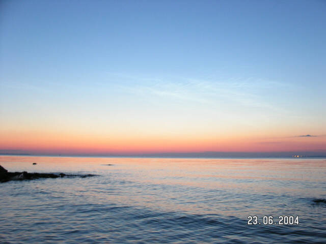 pict8297.sized.jpg