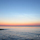pict8298.sized.jpg